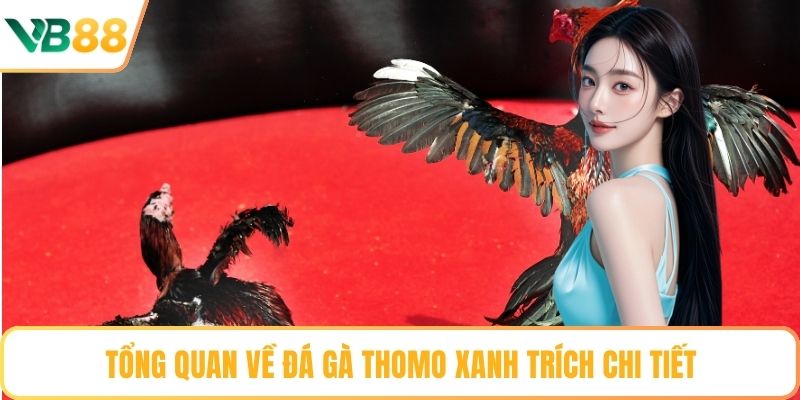 Tổng quan về đá gà thomo xanh trích chi tiết